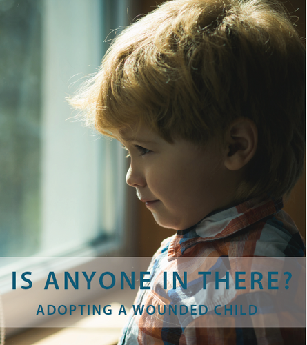 Is Anyone In There? Adopting a Wounded Child (Digital Download)